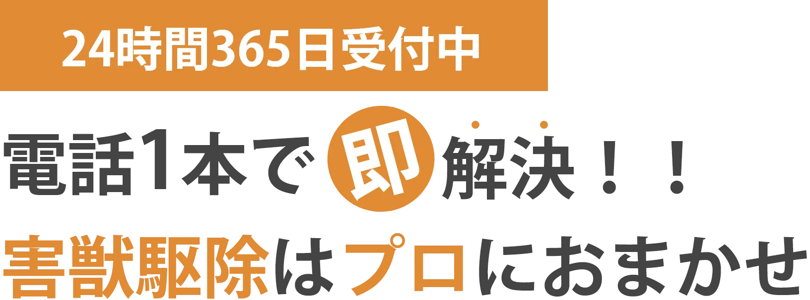 害獣駆除はプロにおまかせ