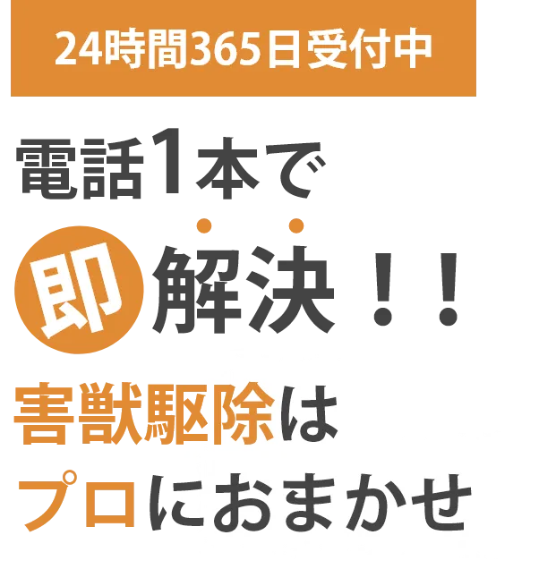 害獣駆除はプロにおまかせ