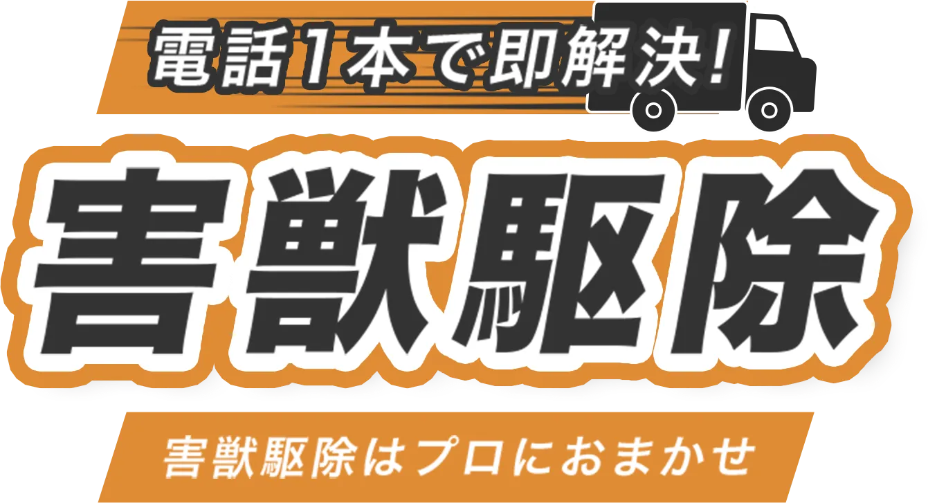 コウモリ駆除はプロにおまかせ